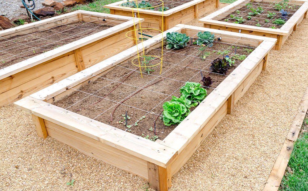 Elevated Planter Box: A Step-by-Step
Guide to Building Your Own Garden Bed