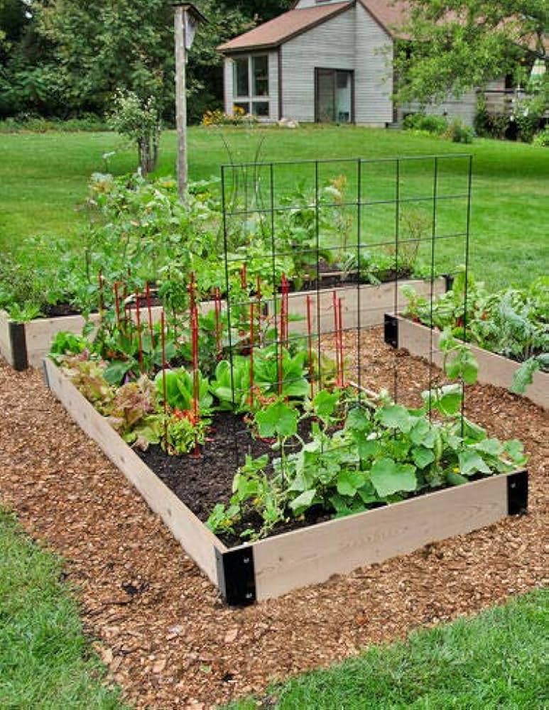 Growing a Lush Vegetable Garden in a
Raised Planter