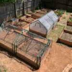 Raised Bed Vegetable Garden on a Slope - Gardening - Healthy Alyo