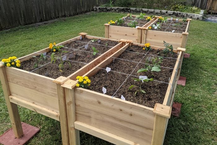 How To Fill Raised Gardening Beds for a Successful Harve