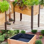 diy-raised-bed-gardens-ideas-designs-build-garden-boxes-planters .