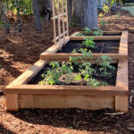 DIY a Raised Bed Vegetable Gard