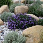 How Much Do River Rocks Landscaping Cost In 2024? – Forbes Ho