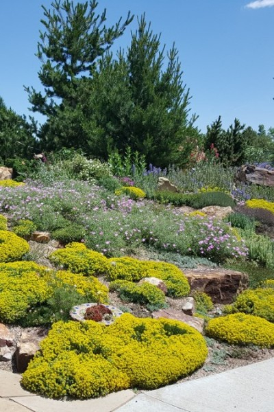 Rock Garden | The Gardens on Spring Cre