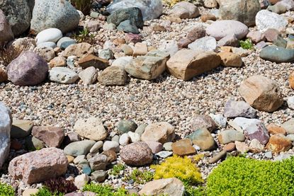 Caring For A Rock Garden Bed – How To Grow A Rock Garden .