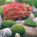 How to Build a Rock Garden | Platt Hill Nursery | Blog & Advi