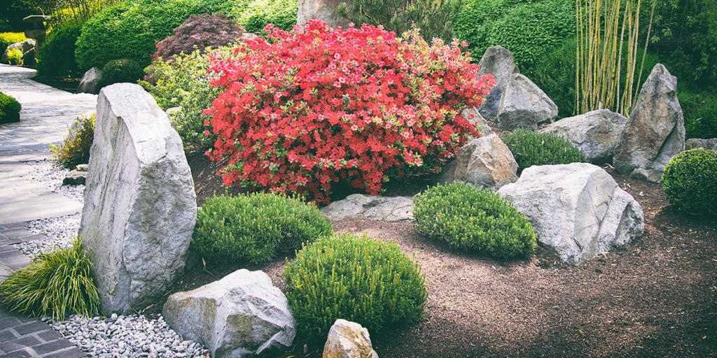 How to Build a Rock Garden | Platt Hill Nursery | Blog & Advi