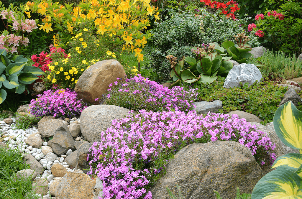 How to Build a Rock Garden | Platt Hill Nursery | Blog & Advi