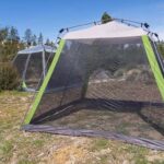 The Best Canopy Tent for Camping and Picnics | Reviews by Wirecutt