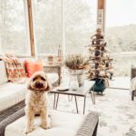 How To Decorate a Screened-In Porch for Fall Entertaini