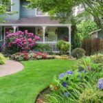 Shrubs and Perennials for a Colorful Summer Landscape | Platt Hill .