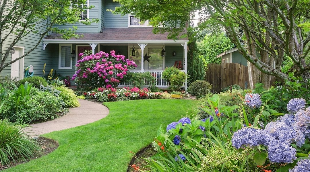 Shrubs and Perennials for a Colorful Summer Landscape | Platt Hill .