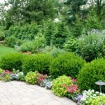 Best Shrubs & Bushes Landscaping Ide