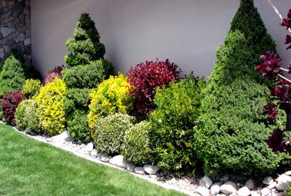 Best Shrubs & Bushes Landscaping Designs Ideas & Pictures .