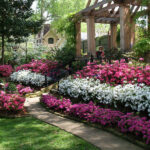 Spring Flower Shrubs for Commercial Properti