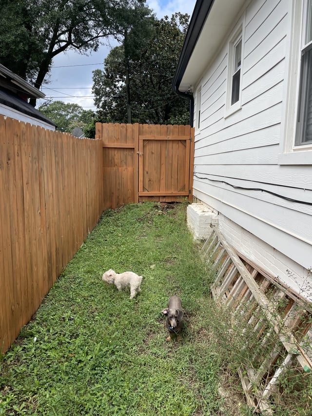 Landscaping ideas? I hate mowing the side yard & we want to .