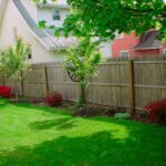 simple backyard landscaping | Easy backyard, Small backyard .