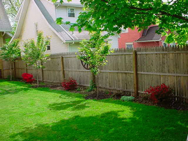 simple backyard landscaping | Easy backyard, Small backyard .