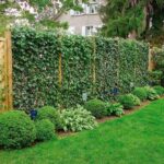 20 Green Fence Designs, Plants to Beautify Garden Design and Yard .