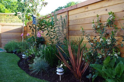 A variety of low-maintenance and drought-tolerant plants grow near .