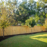 Landscaping Along Your Fence: How & What to Plant Along a Fen