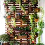 Ways to Create a Small Balcony Garden - Ferns N Peta