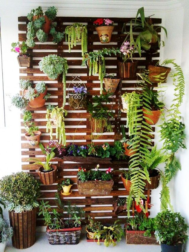 Ways to Create a Small Balcony Garden - Ferns N Peta