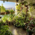 20 Balcony Garden Ideas - How to Grow Plants on a Small Balcony .