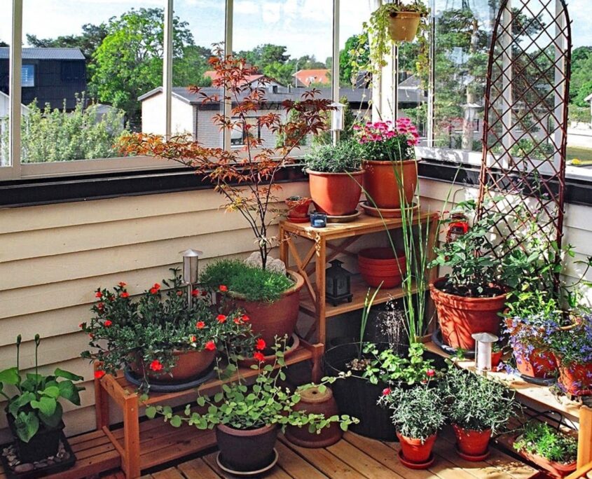 How you can start a balcony garde