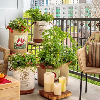 21 Balcony Garden Ideas for Beginners in Small Apartments | Garden .