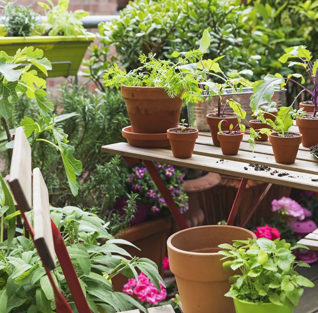 Balcony Gardens: 5 Tips to Help You Transform Your Small Spa