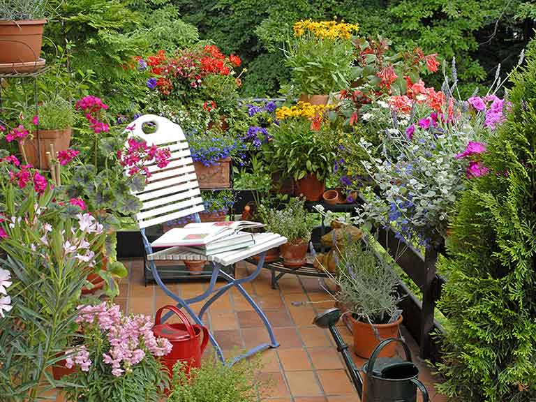 Gardening ideas for balconies, patios & courtyards - Sa