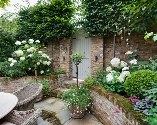 Beautiful small garden idea | West London Courtyard | Small .