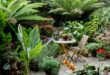 30 Small Garden Design Ideas | BBC Gardeners World Magazi