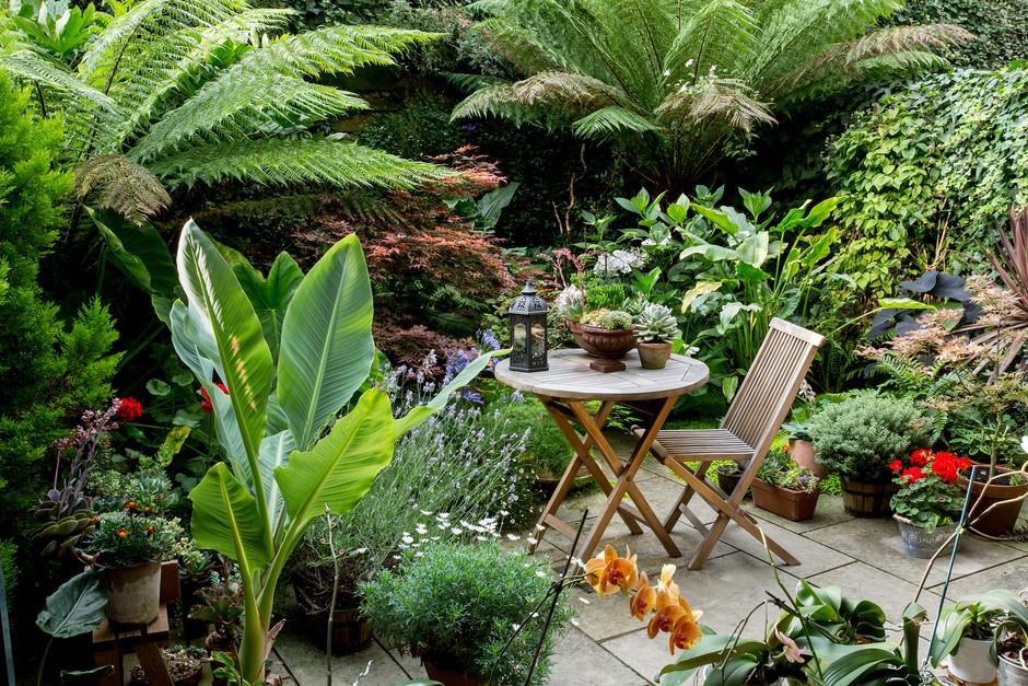 Creative Ways to Design a Compact Garden