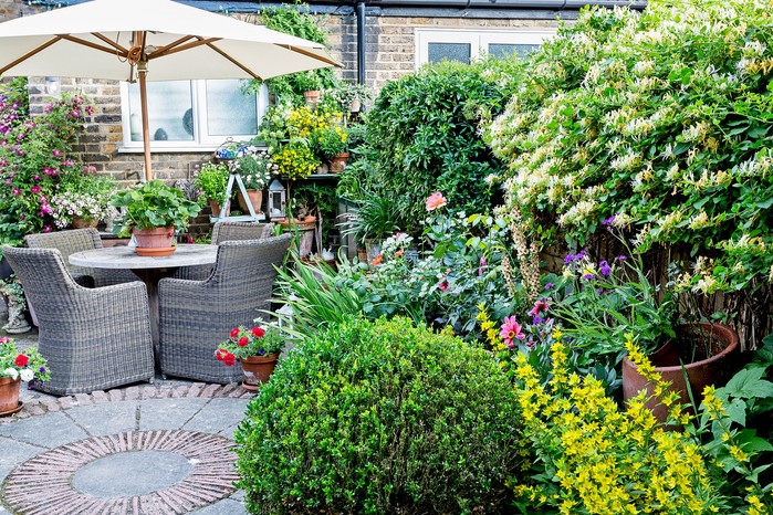 30 Small Garden Design Ideas | BBC Gardeners World Magazi