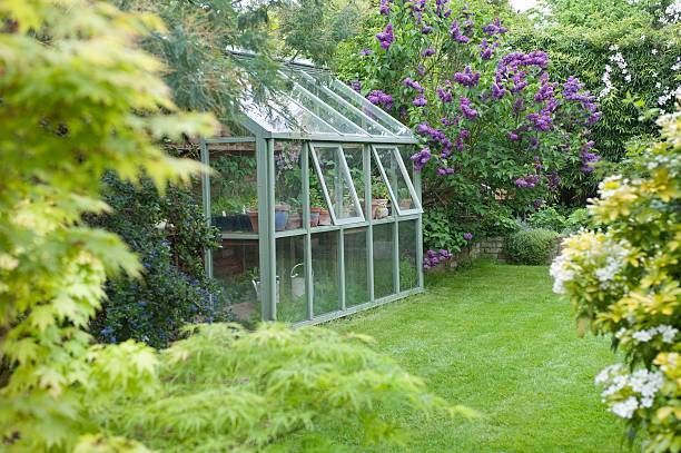 10 Best DIY Greenhouse Kits to Build at Ho