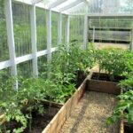 Small greenhouse ideas in the garden and the yard, 63 great ideas .