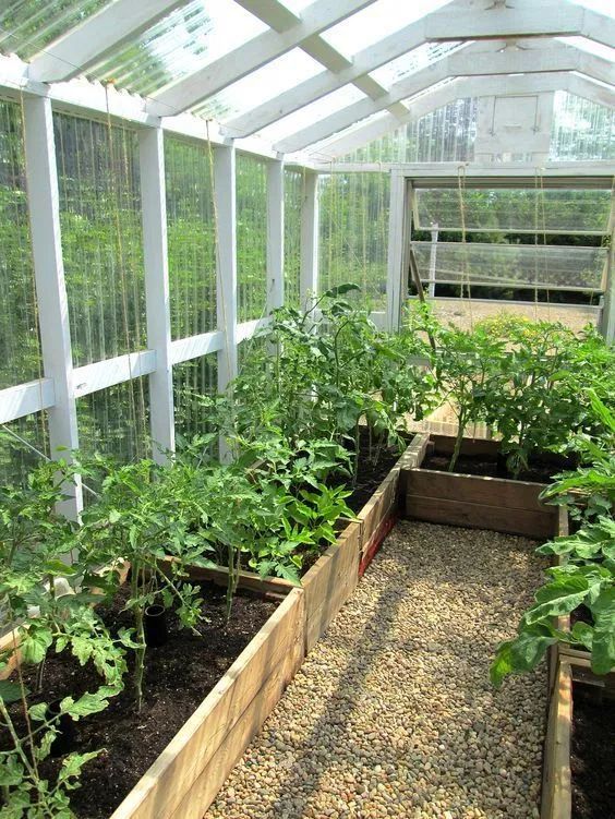 Small greenhouse ideas in the garden and the yard, 63 great ideas .