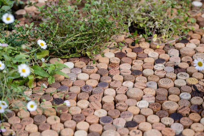 25 Budget Garden Ideas | BBC Gardeners World Magazi