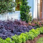 Small Garden, Big Impact: How to create depth in the landsca