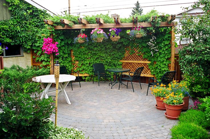 Small Garden | Simple pergola and lattice screen used to enclose .