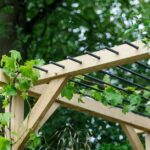 Pergola Ideas | BBC Gardeners World Magazi