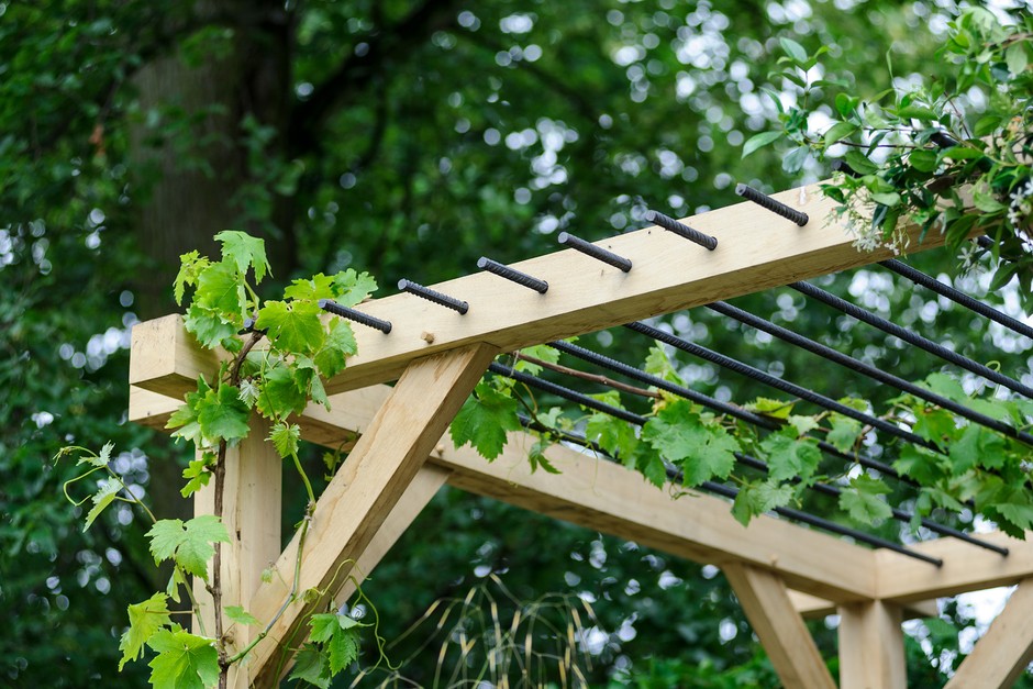 Pergola Ideas | BBC Gardeners World Magazi