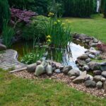 Best Small Pond Ideas for Your Garden | ShrubH