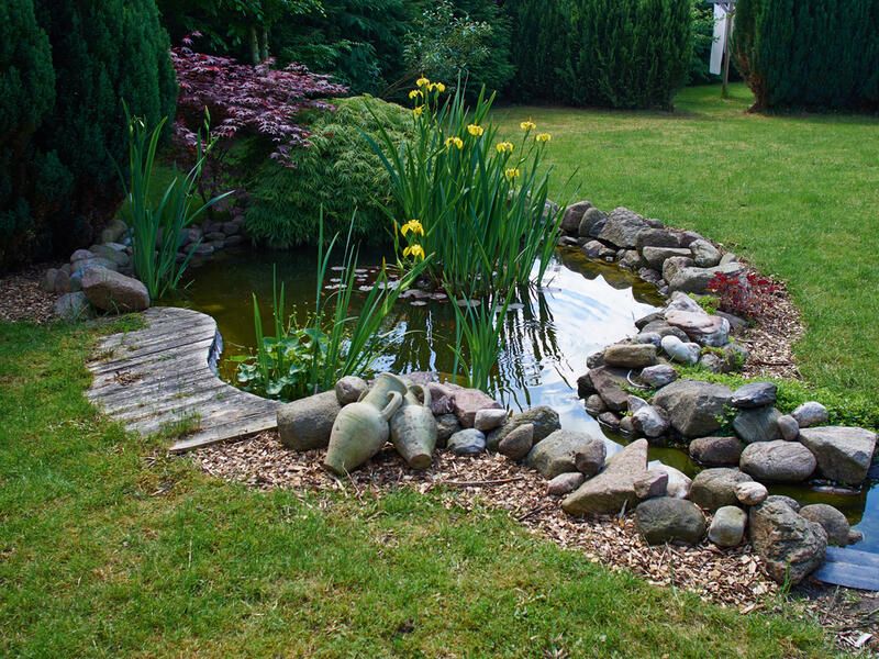 Best Small Pond Ideas for Your Garden | ShrubH