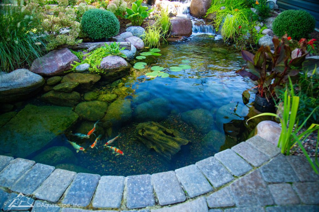 6 Small Pond Ideas for Backyard Entertaining Areas - Water .