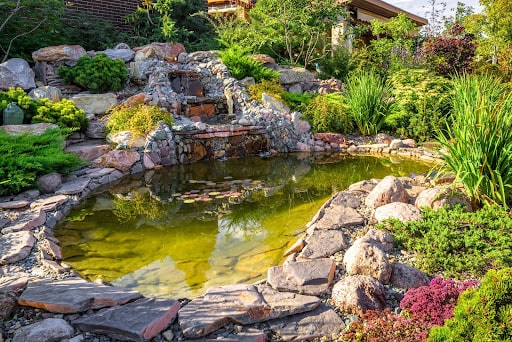 Water Gardening 101: Backyard Pond Ideas On A Budget - S