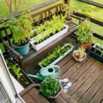 7 Small Space Gardening Ideas | Brookfield Residenti