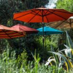 The 3 Best Patio Umbrellas and Stands of 2024 | Reviews by Wirecutt